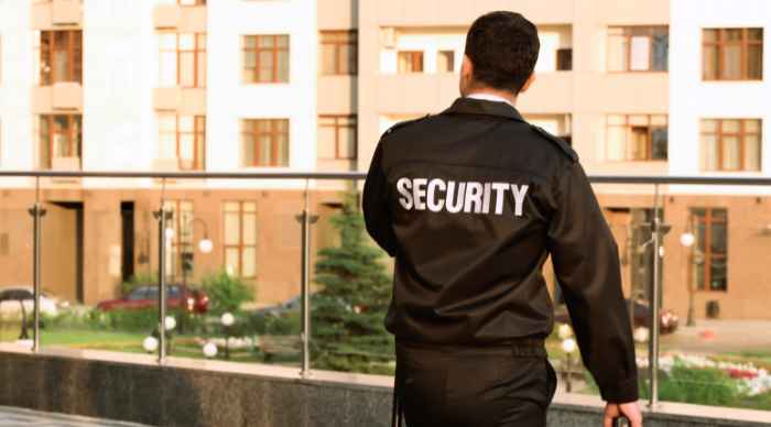 Security Il Mastino
